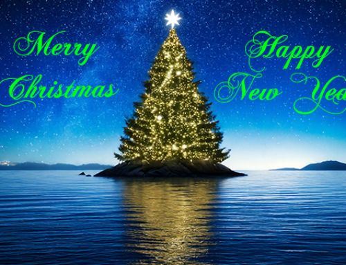 Merry Christmas & Happy New Year